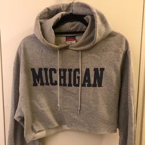 Champion Cropped Michigan hoodie